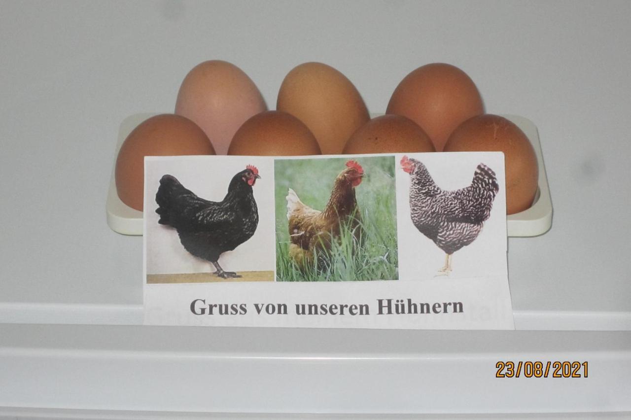 Ferienwohnung Landsknecht Volkach Luaran gambar